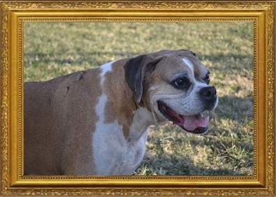 Laney Kranik 2005-2015